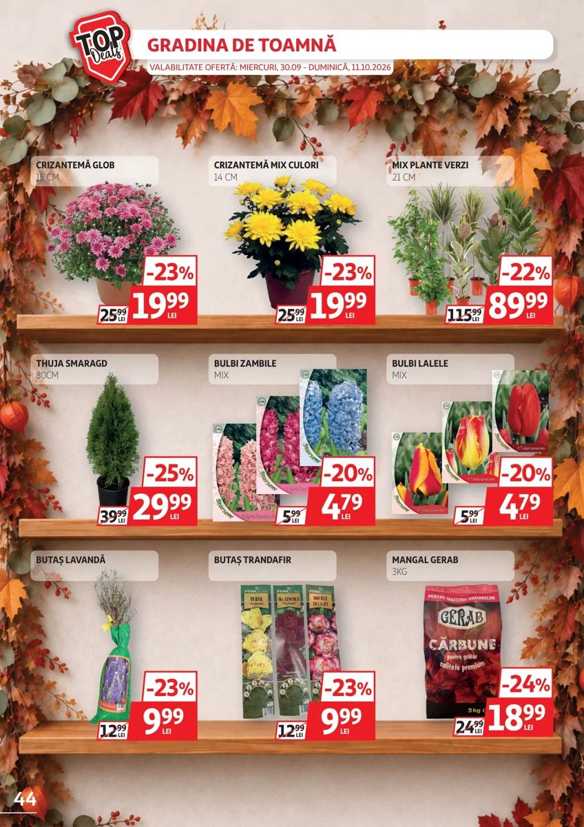 Catalog Auchan, pagina 44 din 48