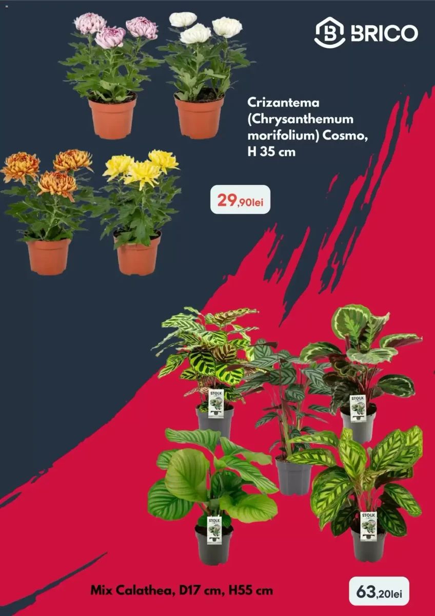 Catalog Brico Dépôt, pagina 3 din 5
