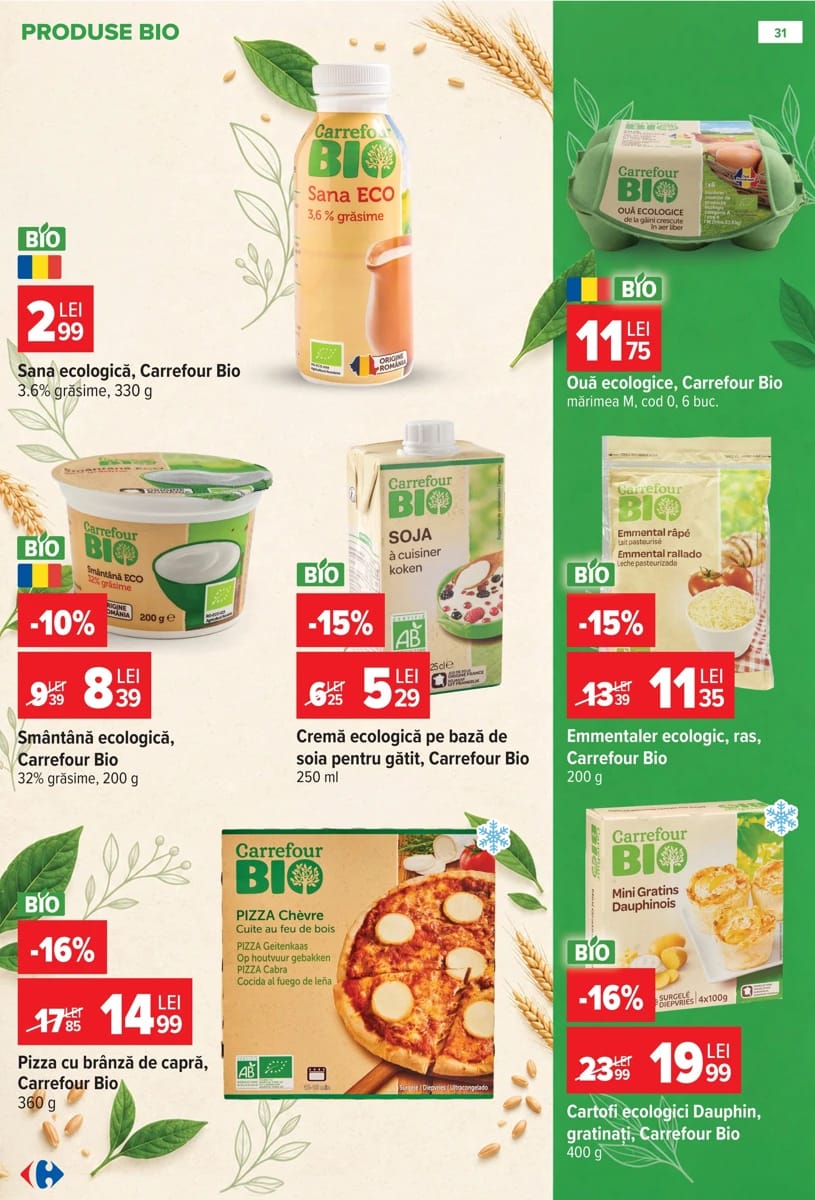 Catalog Carrefour, pagina 31 din 39