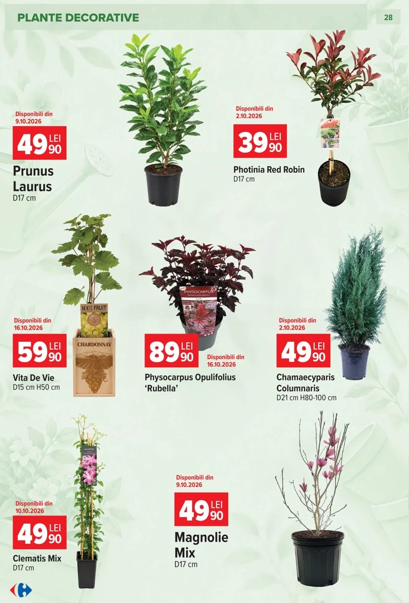 Catalog Carrefour, pagina 15 din 35