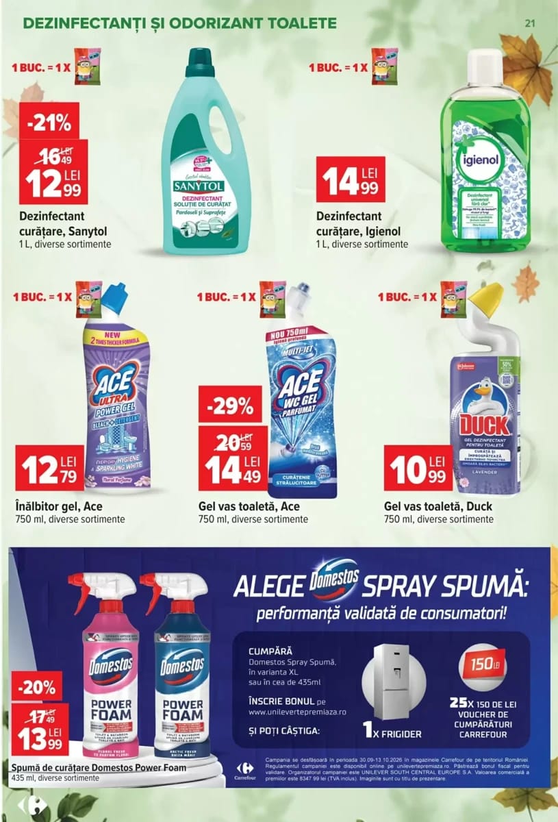 Catalog Carrefour, pagina 21 din 39