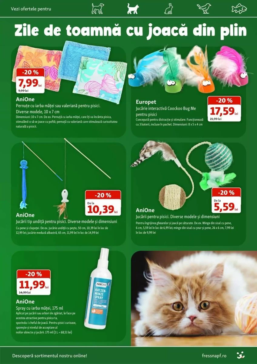 Catalog Fressnapf, pagina 13 din 18