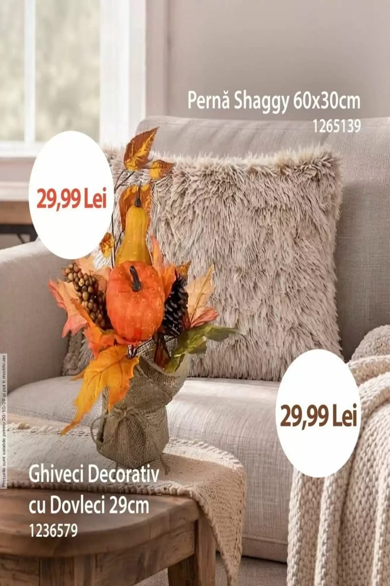 Catalog Jumbo, pagina 3 din 4