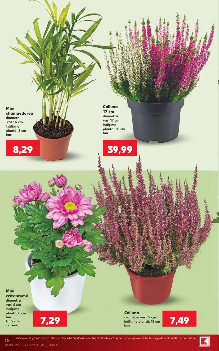 Catalog Kaufland, pagina 16 din 69