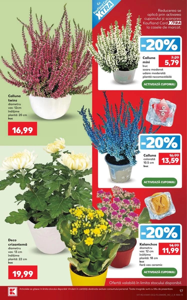 Catalog Kaufland, pagina 17 din 69