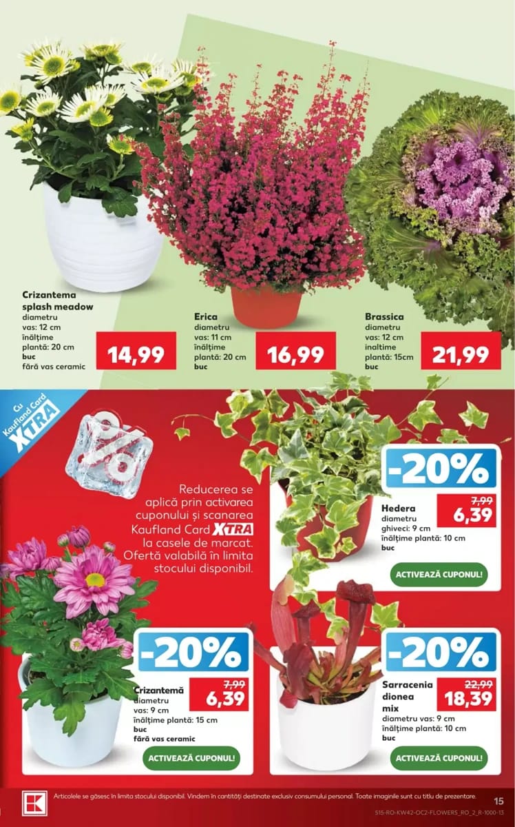 Catalog Kaufland, pagina 15 din 64