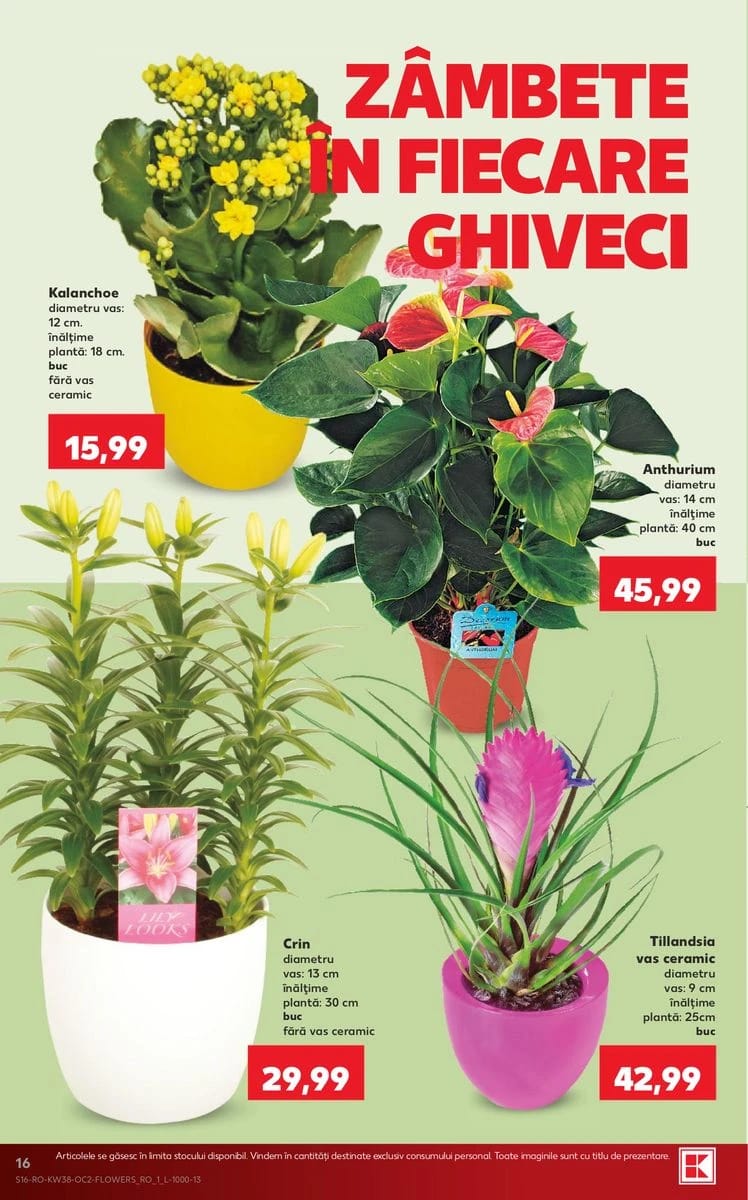 Catalog Kaufland, pagina 16 din 74