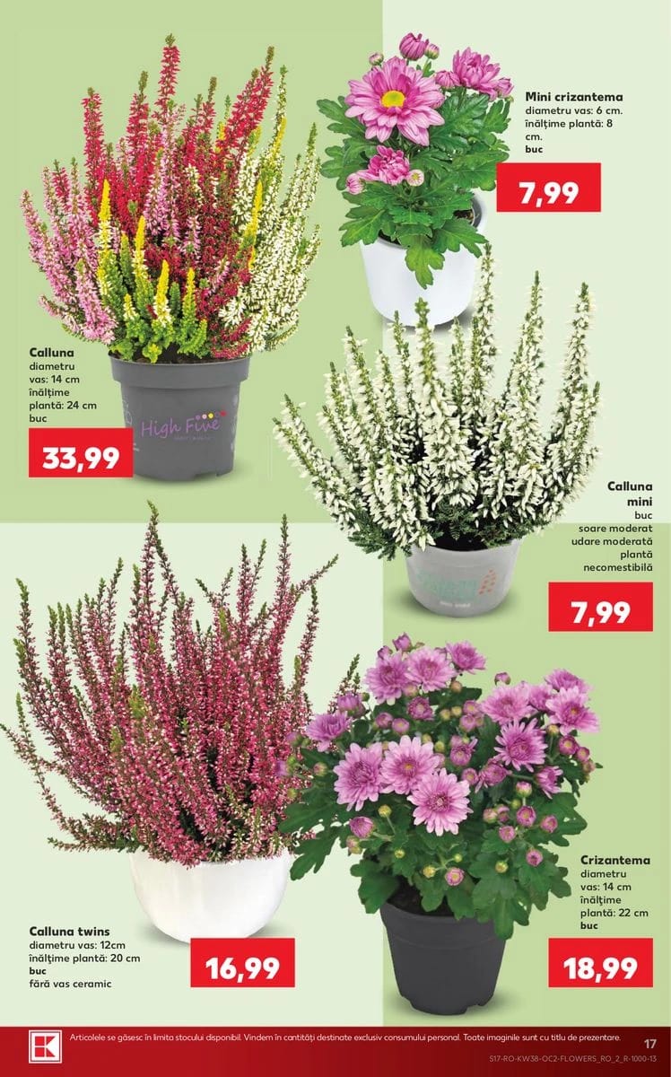 Catalog Kaufland, pagina 17 din 74