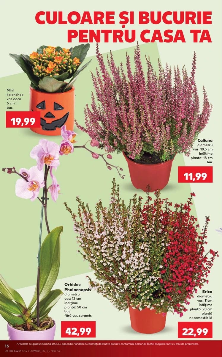 Catalog Kaufland, pagina 16 din 64