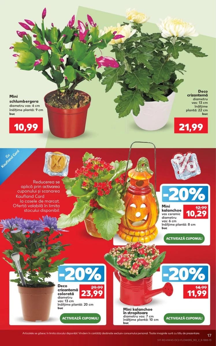 Catalog Kaufland, pagina 17 din 64