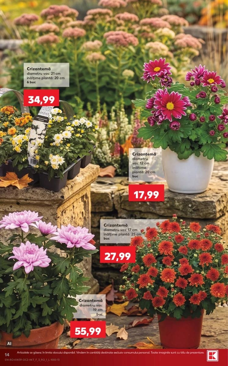 Catalog Kaufland, pagina 14 din 64