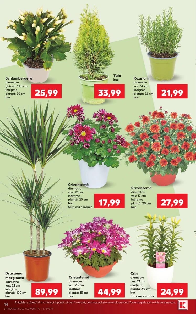 Catalog Kaufland, pagina 14 din 63