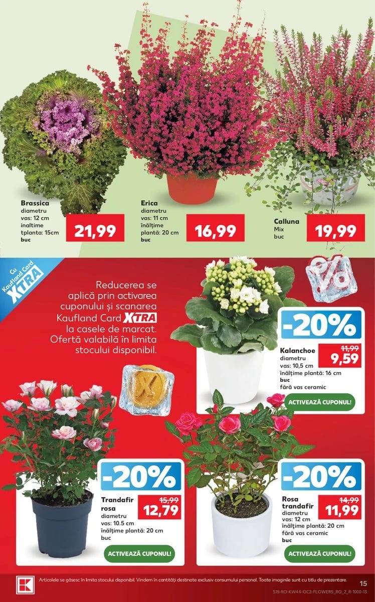 Catalog Kaufland, pagina 15 din 63