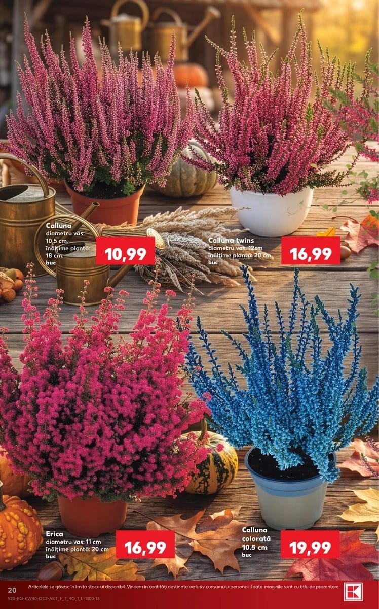 Catalog Kaufland, pagina 20 din 76