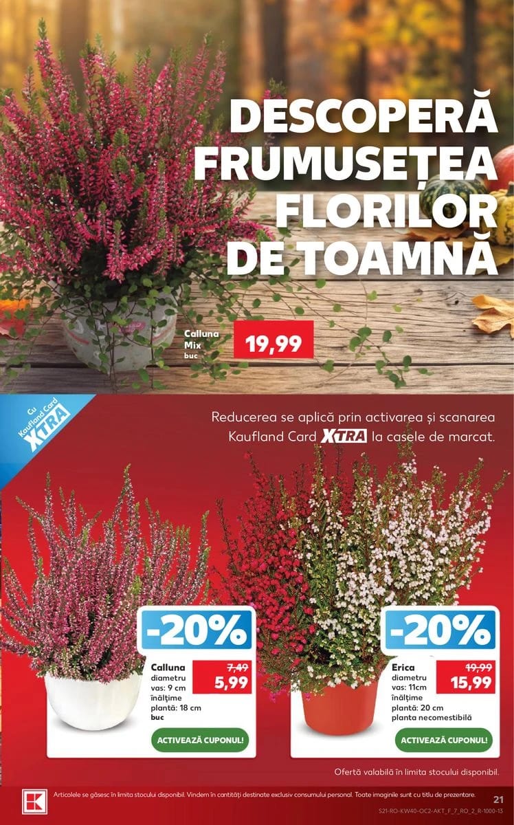 Catalog Kaufland, pagina 21 din 76