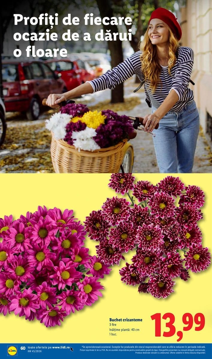 Catalog Lidl, pagina 60 din 86