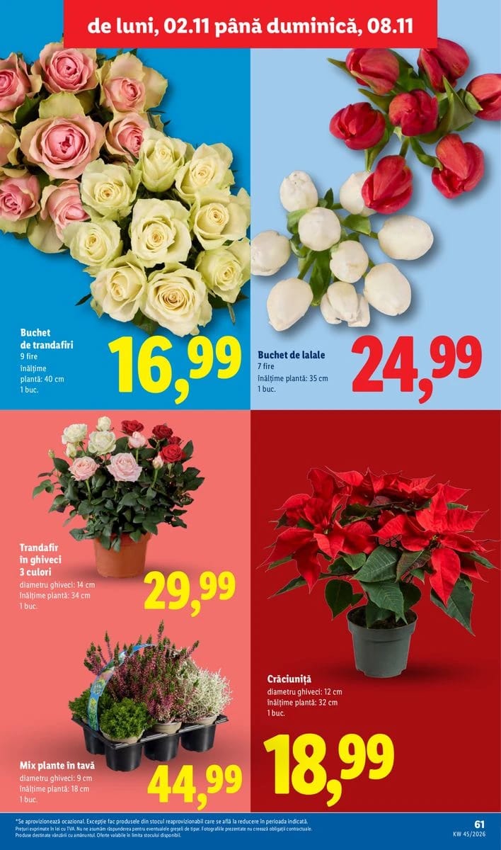 Catalog Lidl, pagina 61 din 86