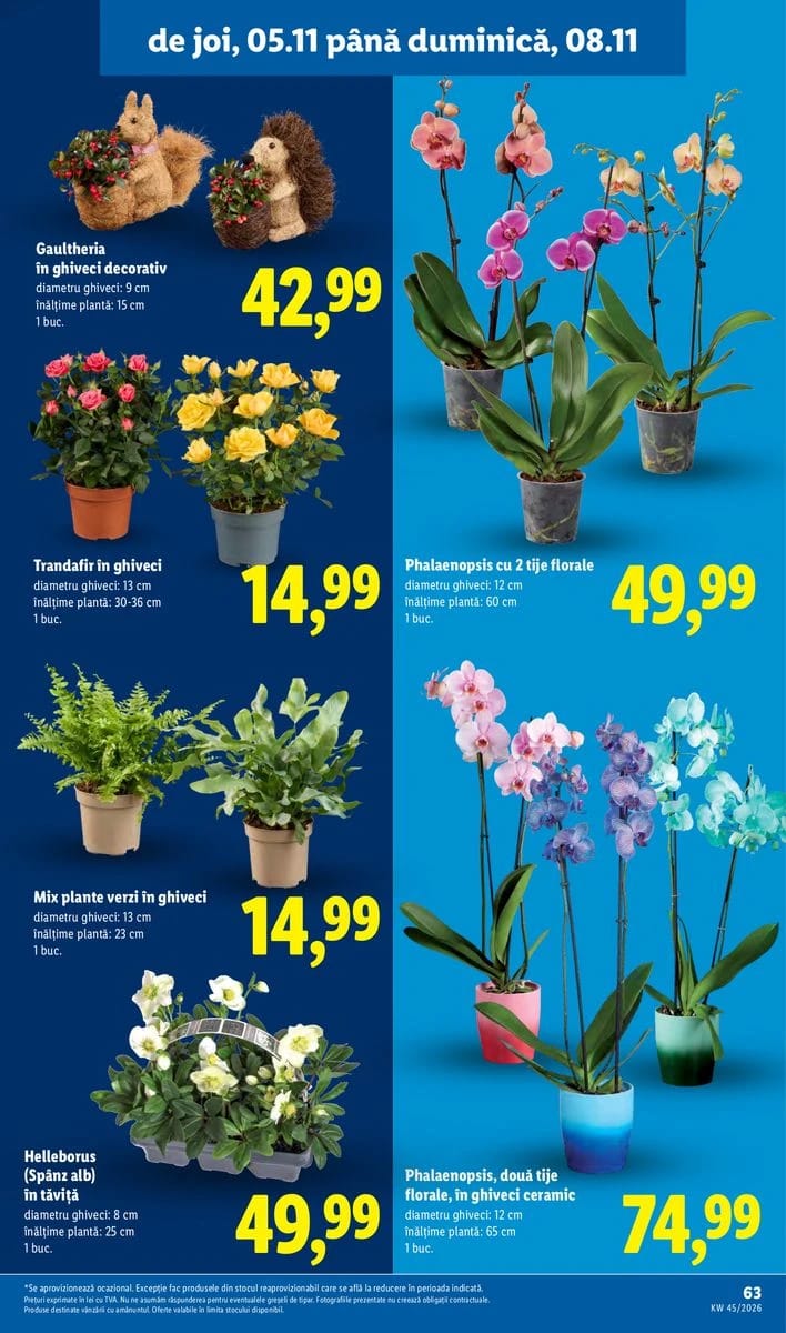 Catalog Lidl, pagina 63 din 86