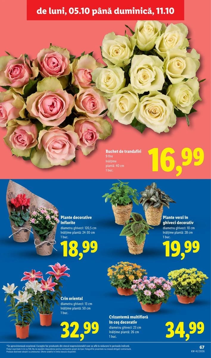 Catalog Lidl, pagina 67 din 96