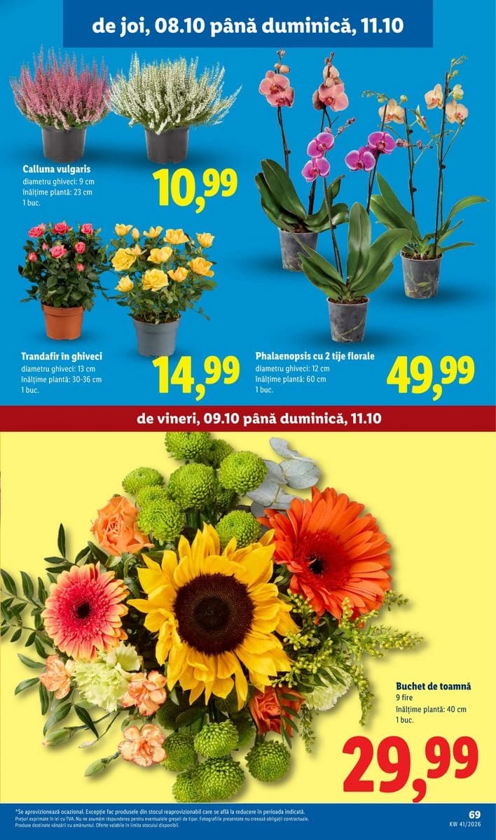 Catalog Lidl, pagina 69 din 96