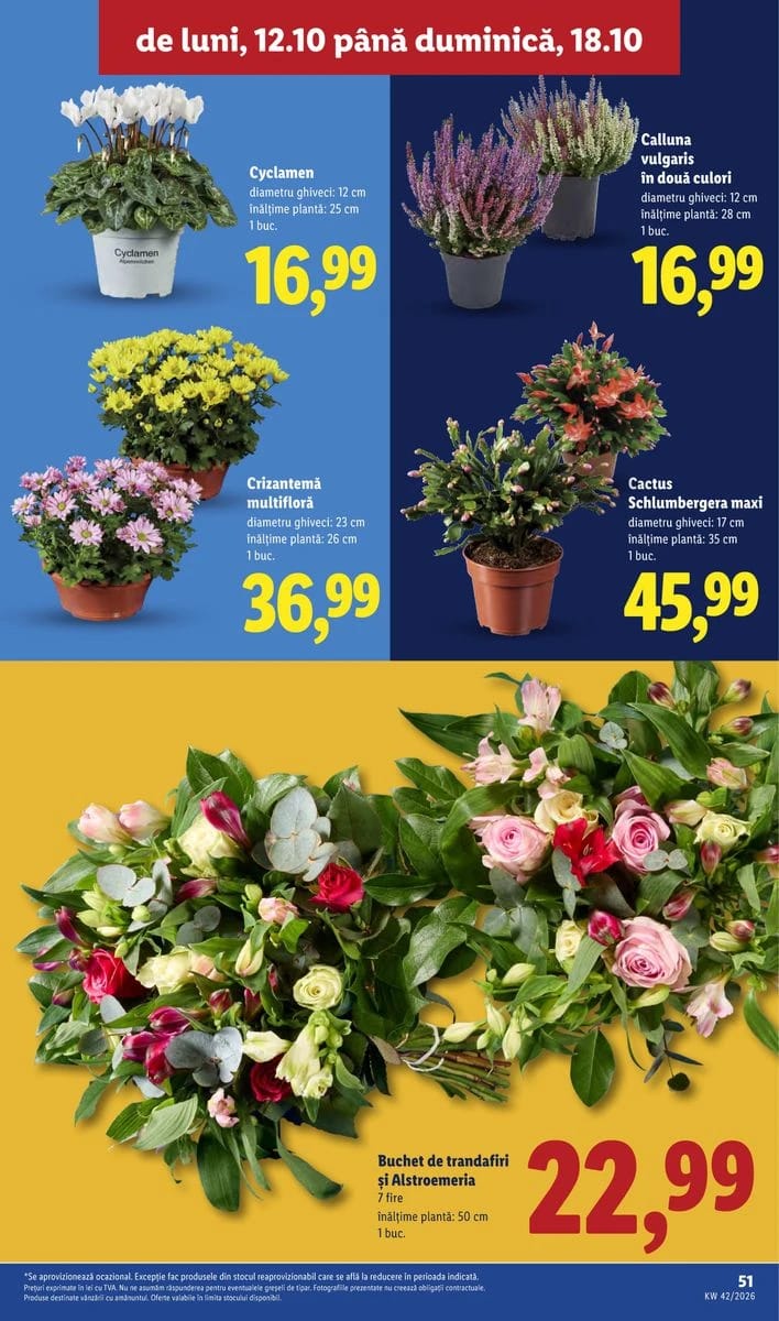 Catalog Lidl, pagina 51 din 88