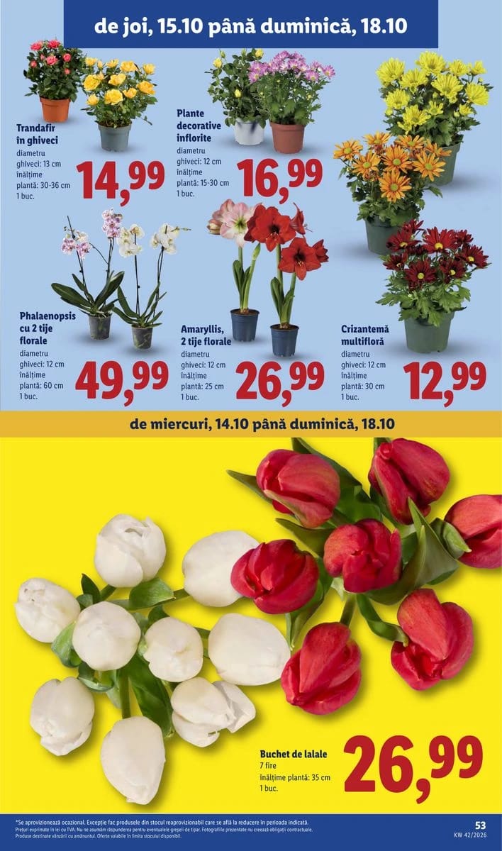Catalog Lidl, pagina 53 din 88