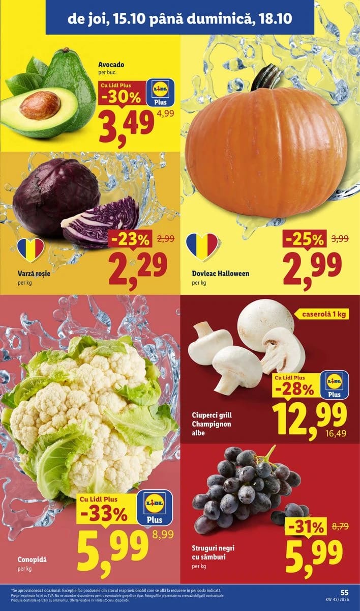 Catalog Lidl, pagina 55 din 88
