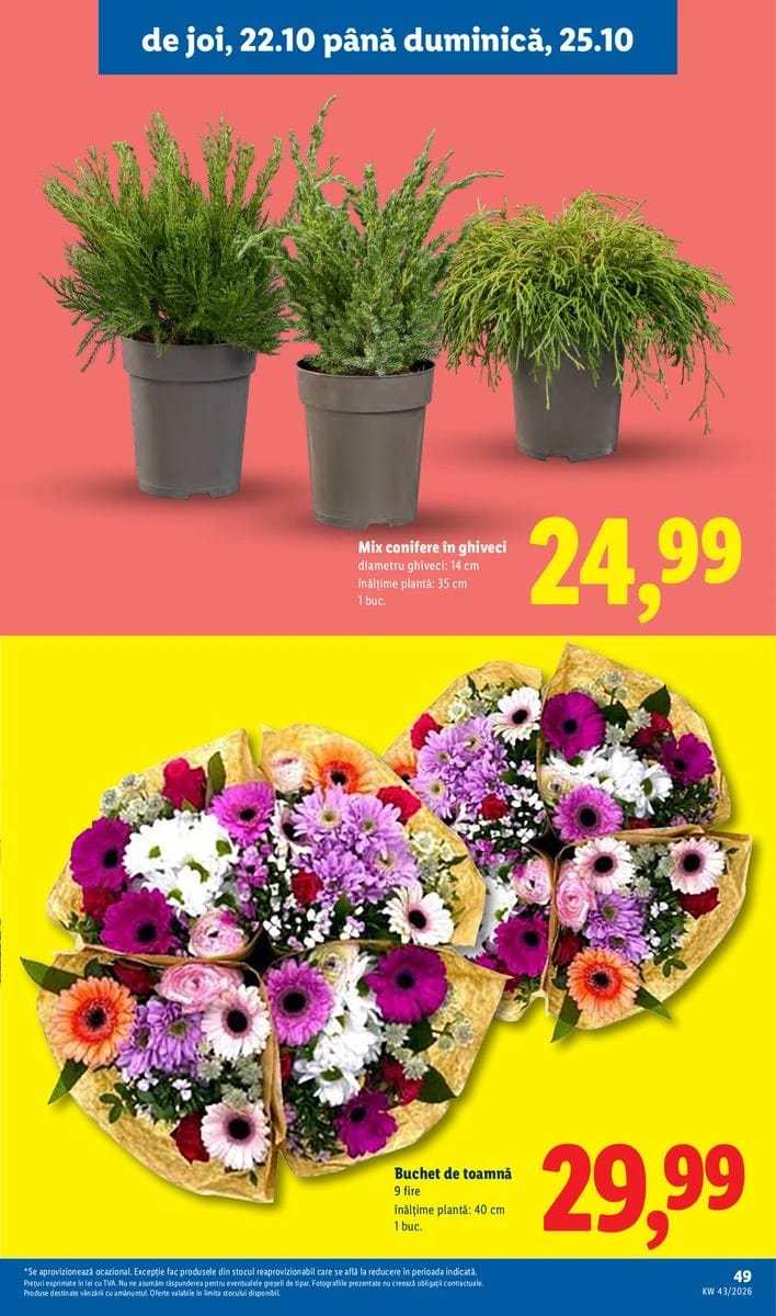 Catalog Lidl, pagina 49 din 88