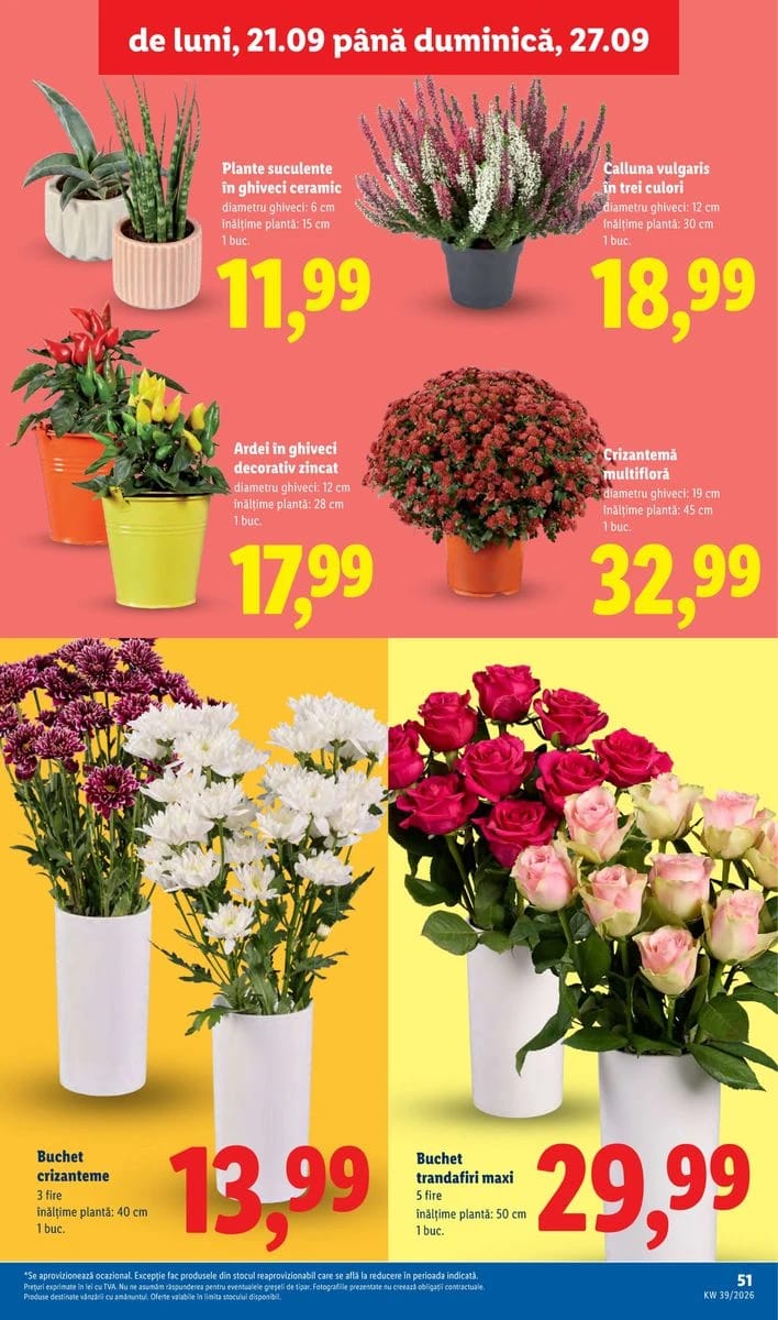 Catalog Lidl, pagina 51 din 96