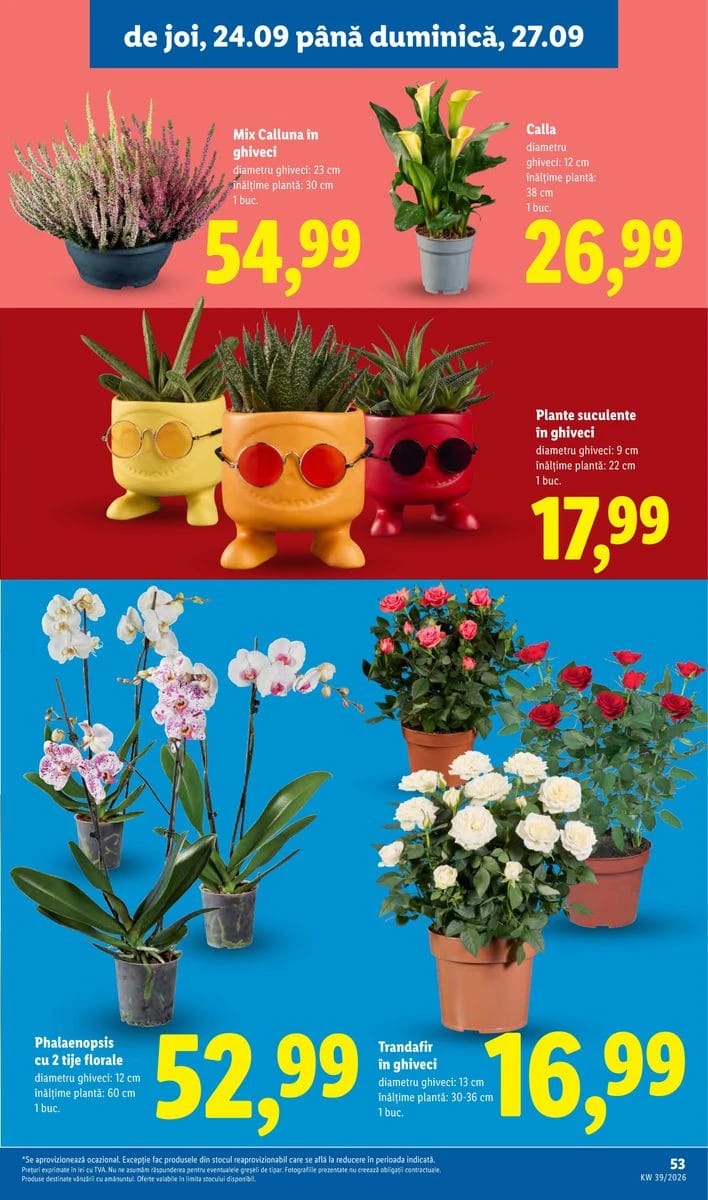 Catalog Lidl, pagina 53 din 96