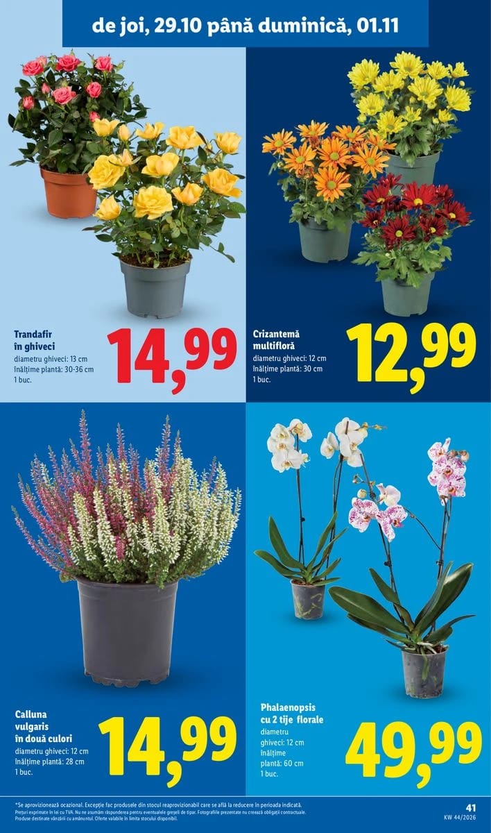Catalog Lidl, pagina 41 din 78