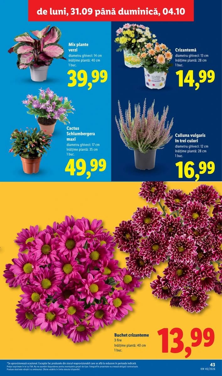 Catalog Lidl, pagina 43 din 78