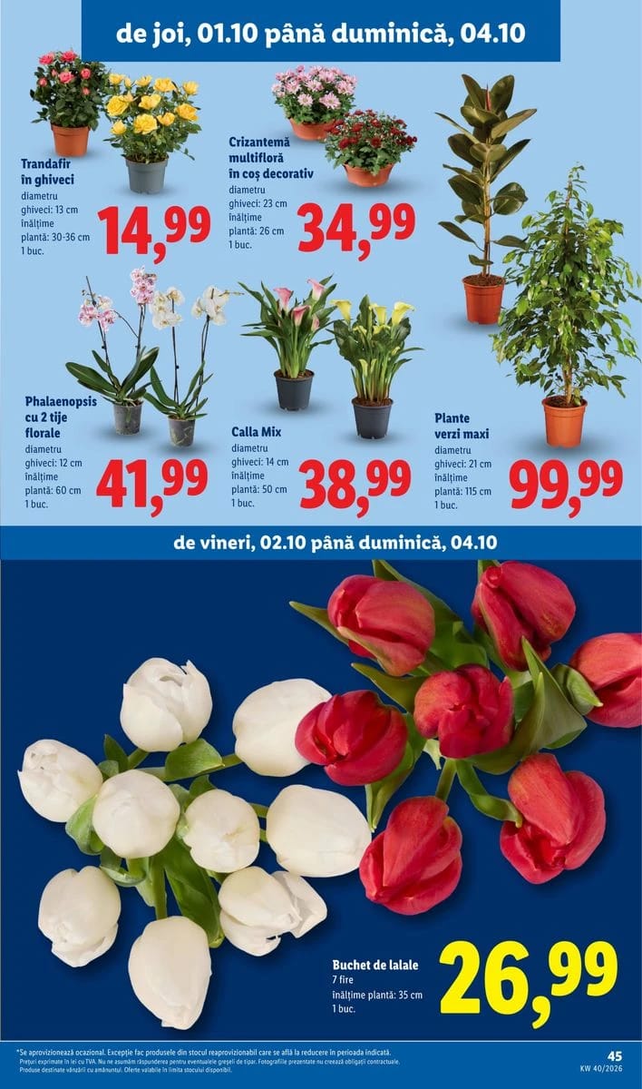 Catalog Lidl, pagina 45 din 78