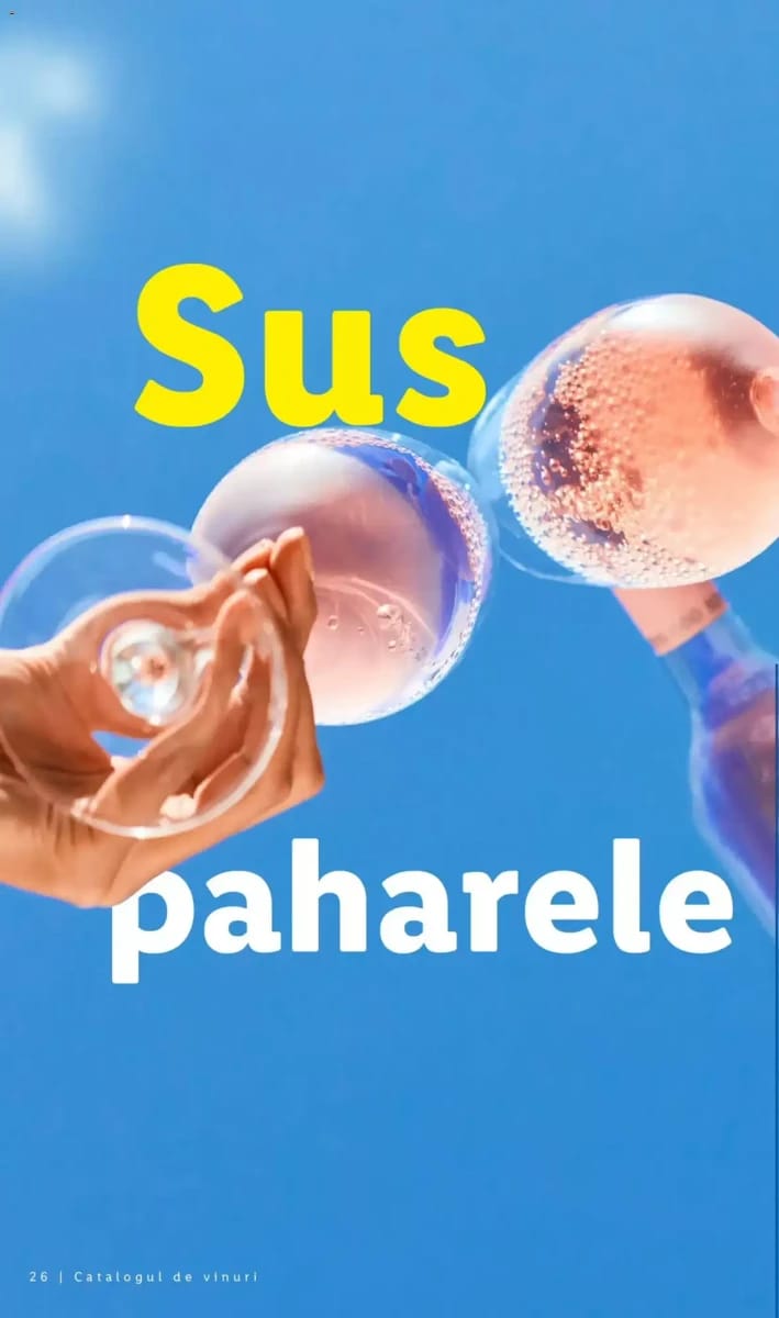 Catalog Lidl, pagina 26 din 58