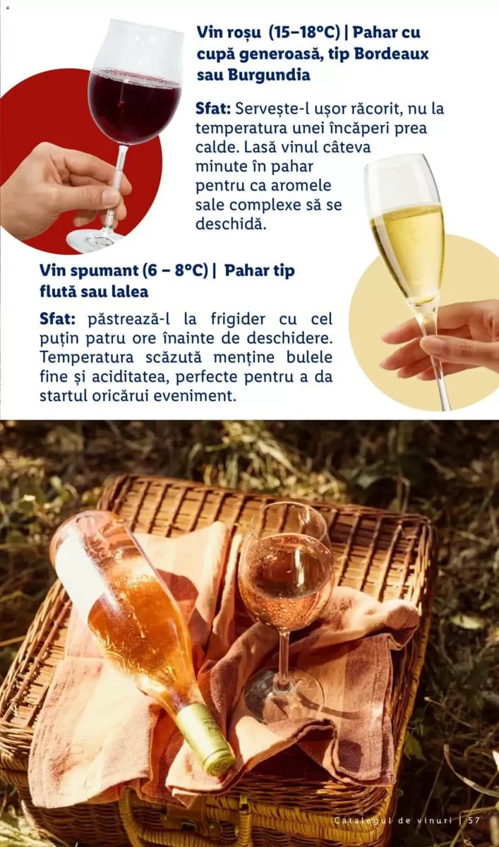 Catalog Lidl, pagina 57 din 58