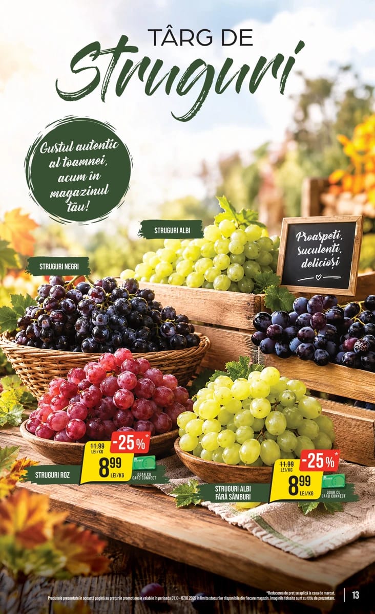 Catalog Mega Image, pagina 13 din 28