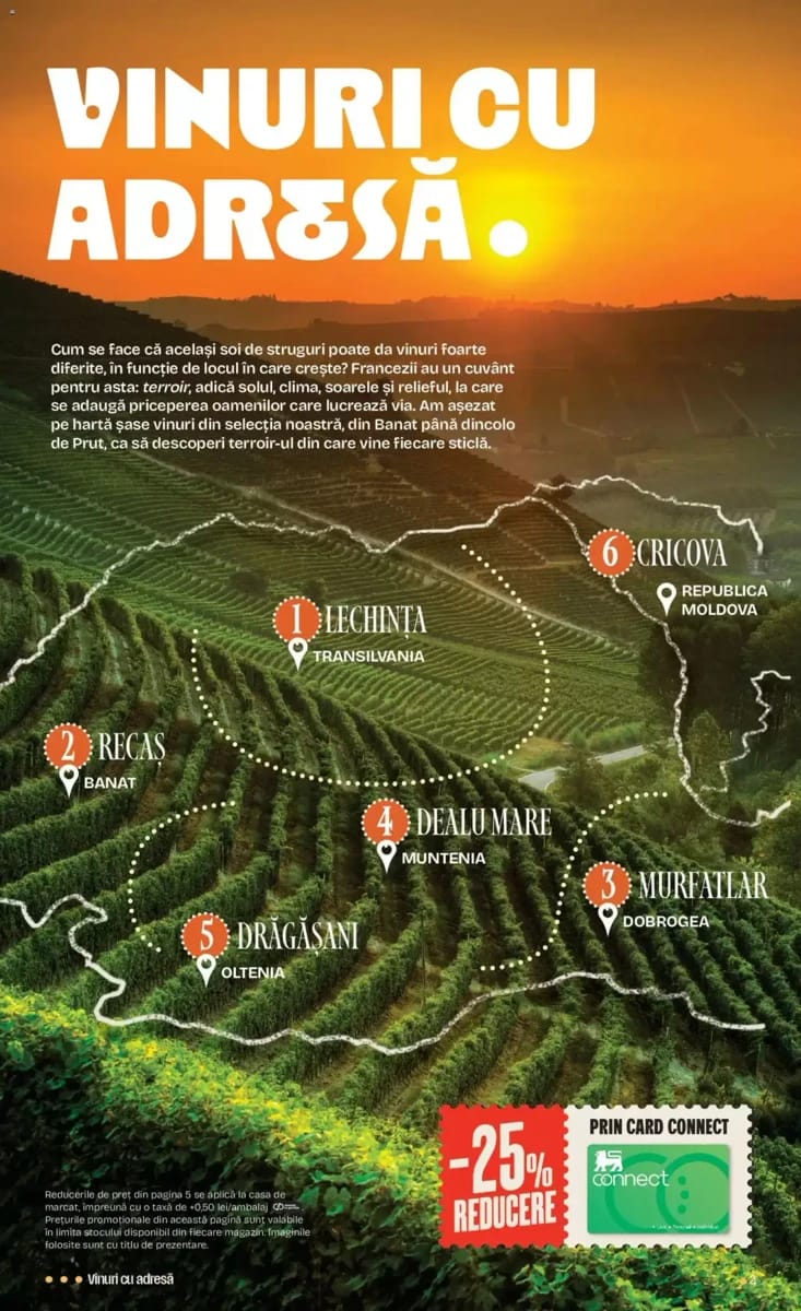 Catalog Mega Image, pagina 4 din 36