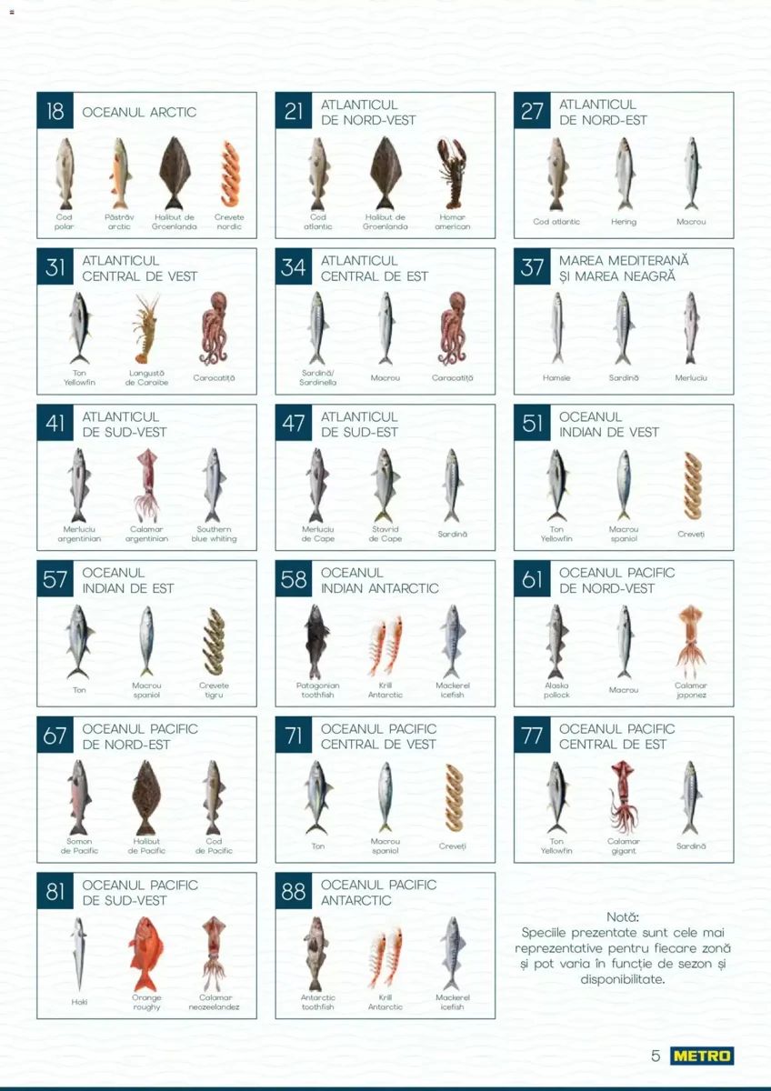 Catalog Metro, pagina 5 din 82