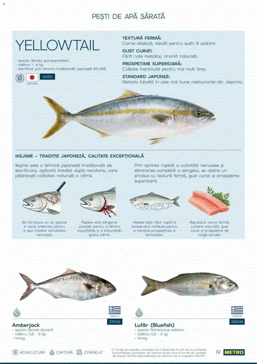 Catalog Metro, pagina 19 din 82
