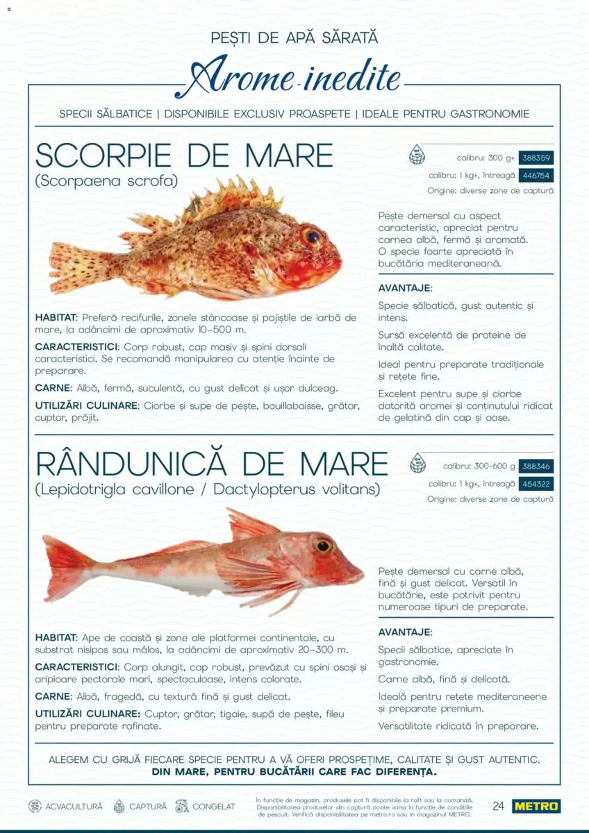 Catalog Metro, pagina 24 din 82
