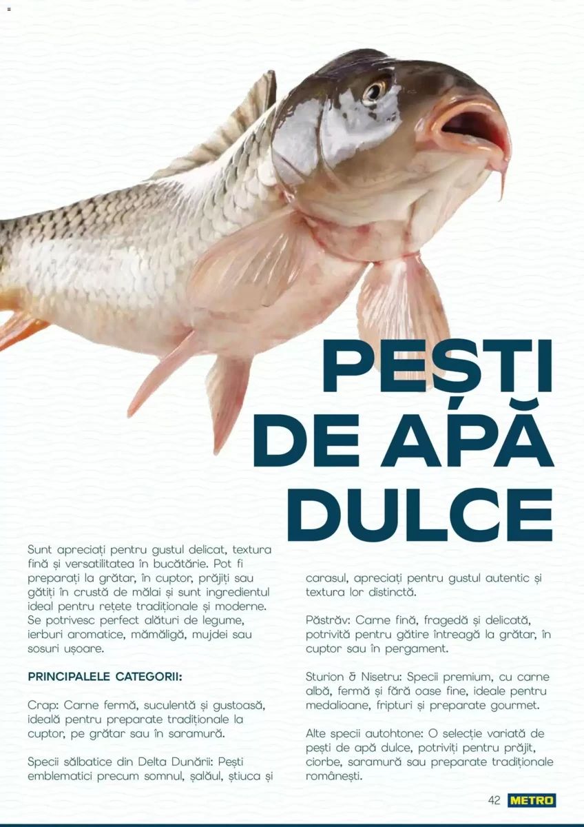 Catalog Metro, pagina 42 din 82