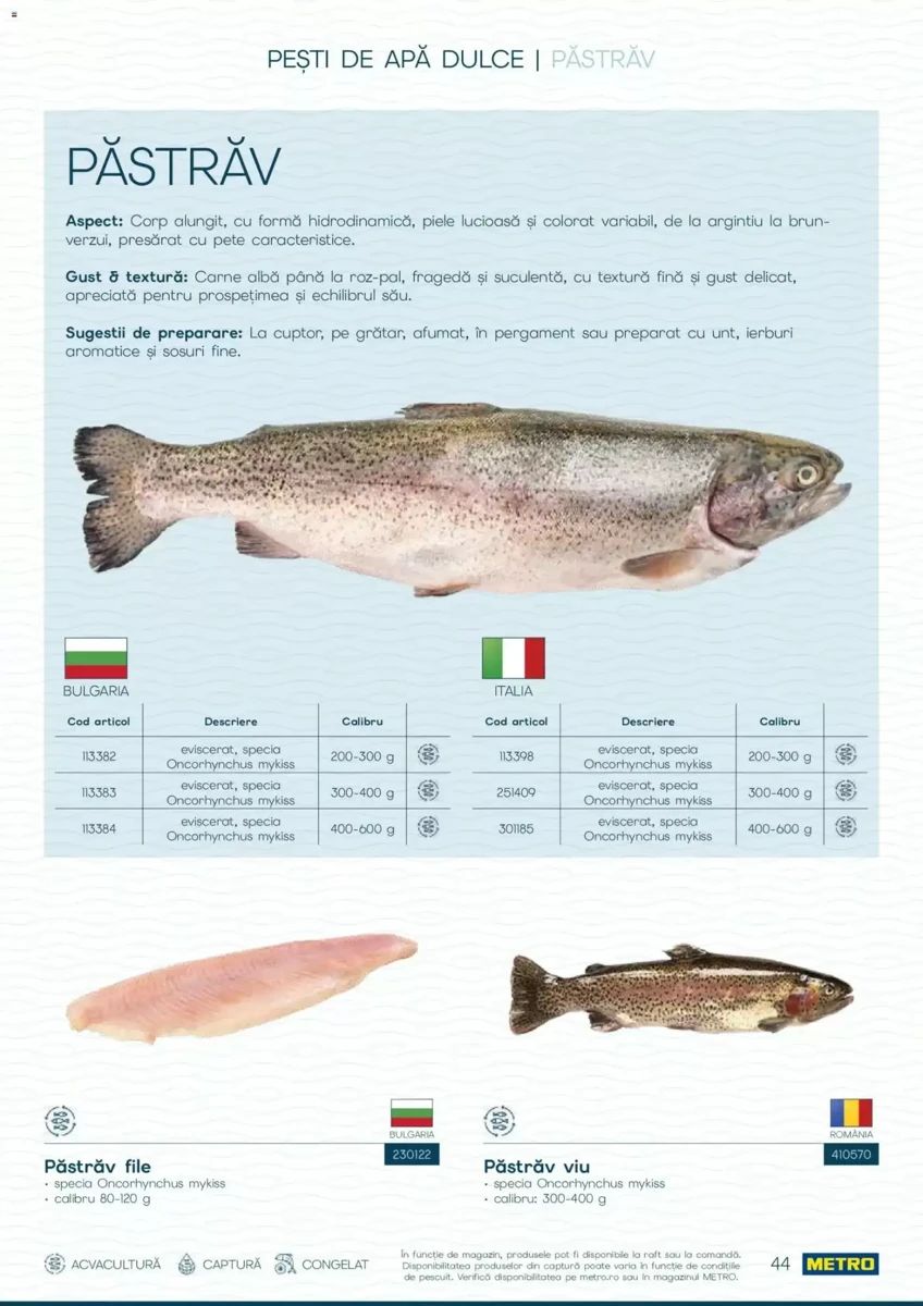 Catalog Metro, pagina 44 din 82