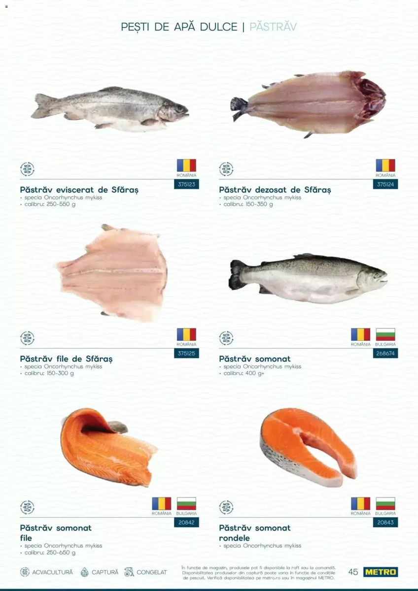 Catalog Metro, pagina 45 din 82