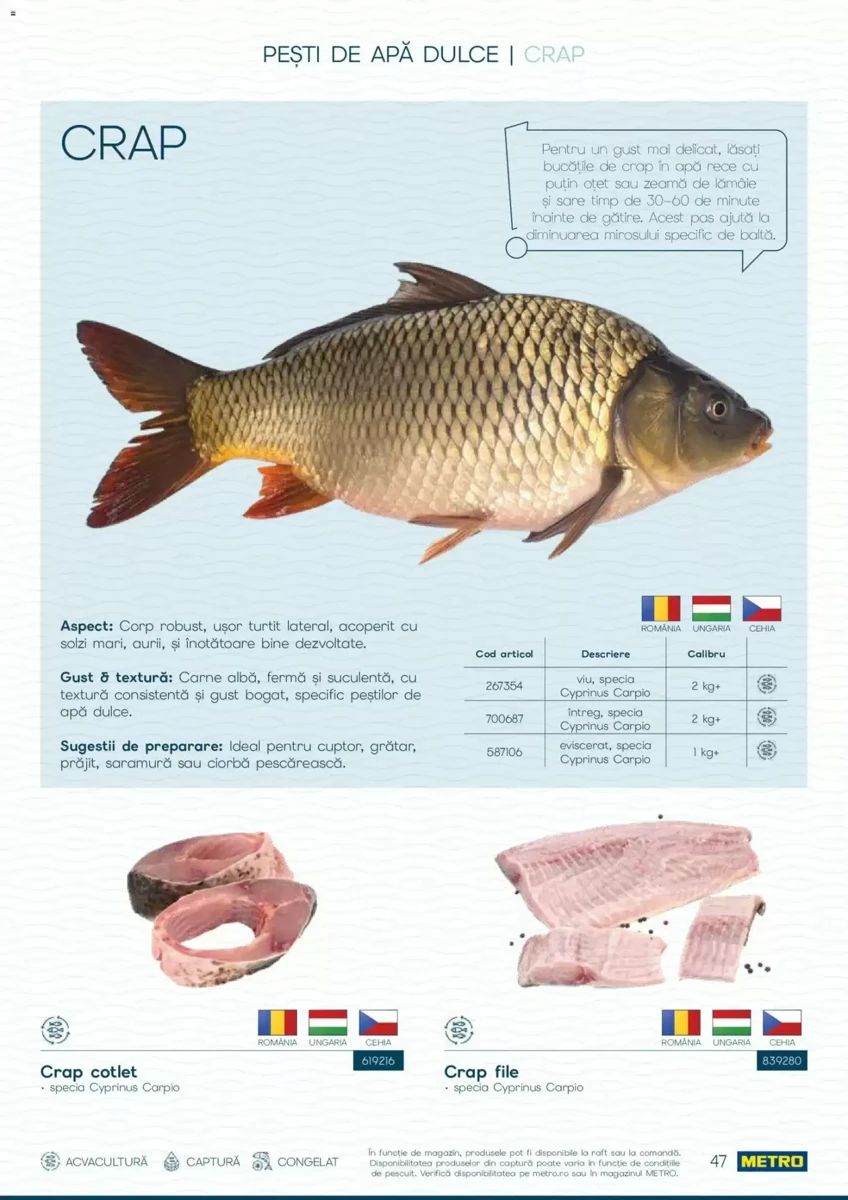 Catalog Metro, pagina 47 din 82