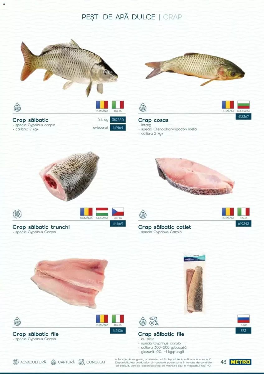Catalog Metro, pagina 48 din 82