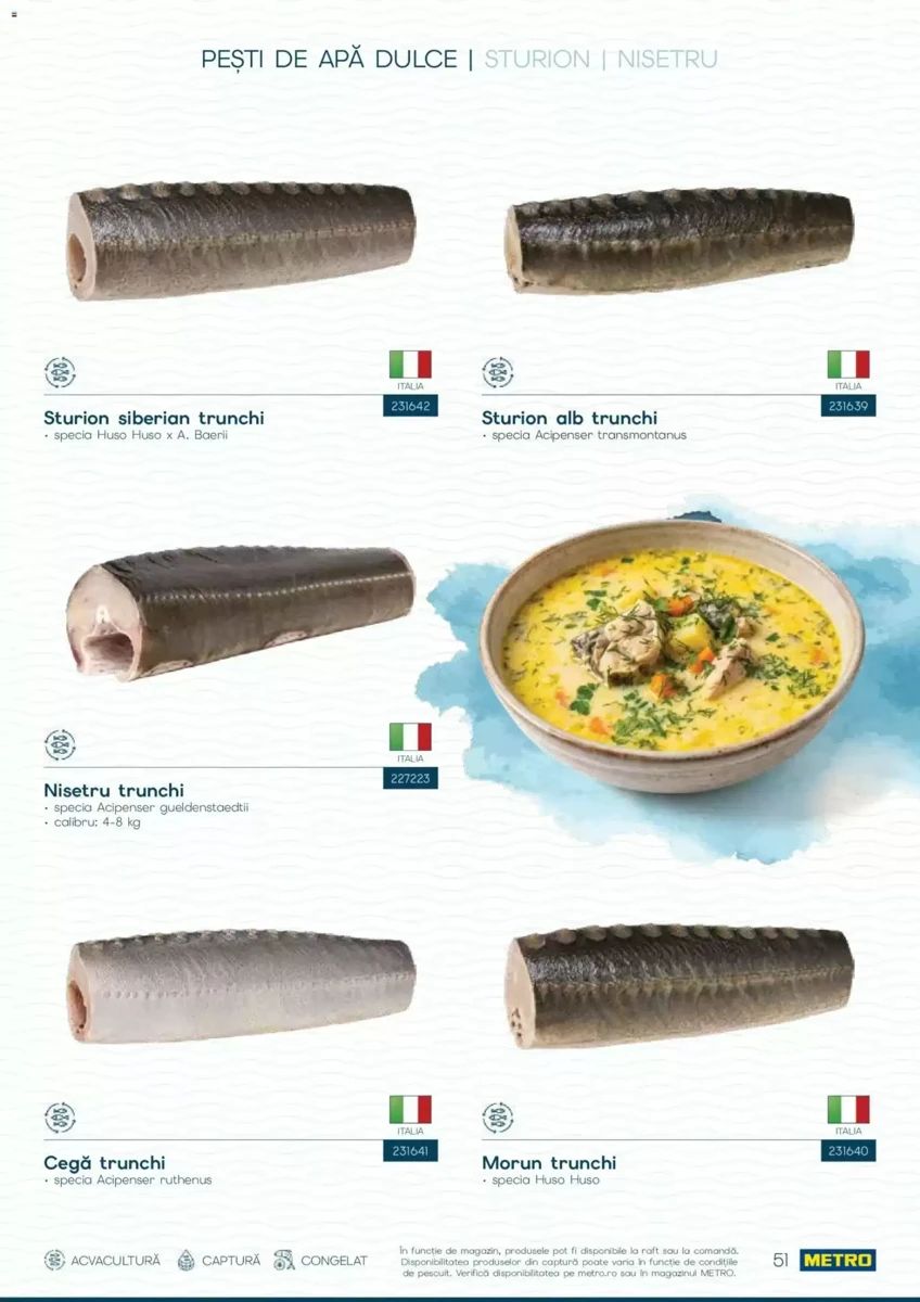 Catalog Metro, pagina 51 din 82