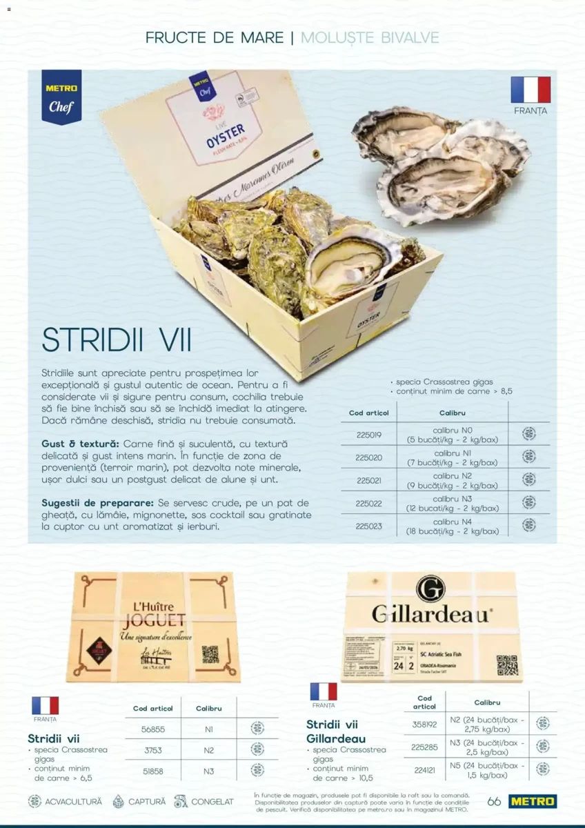 Catalog Metro, pagina 66 din 82