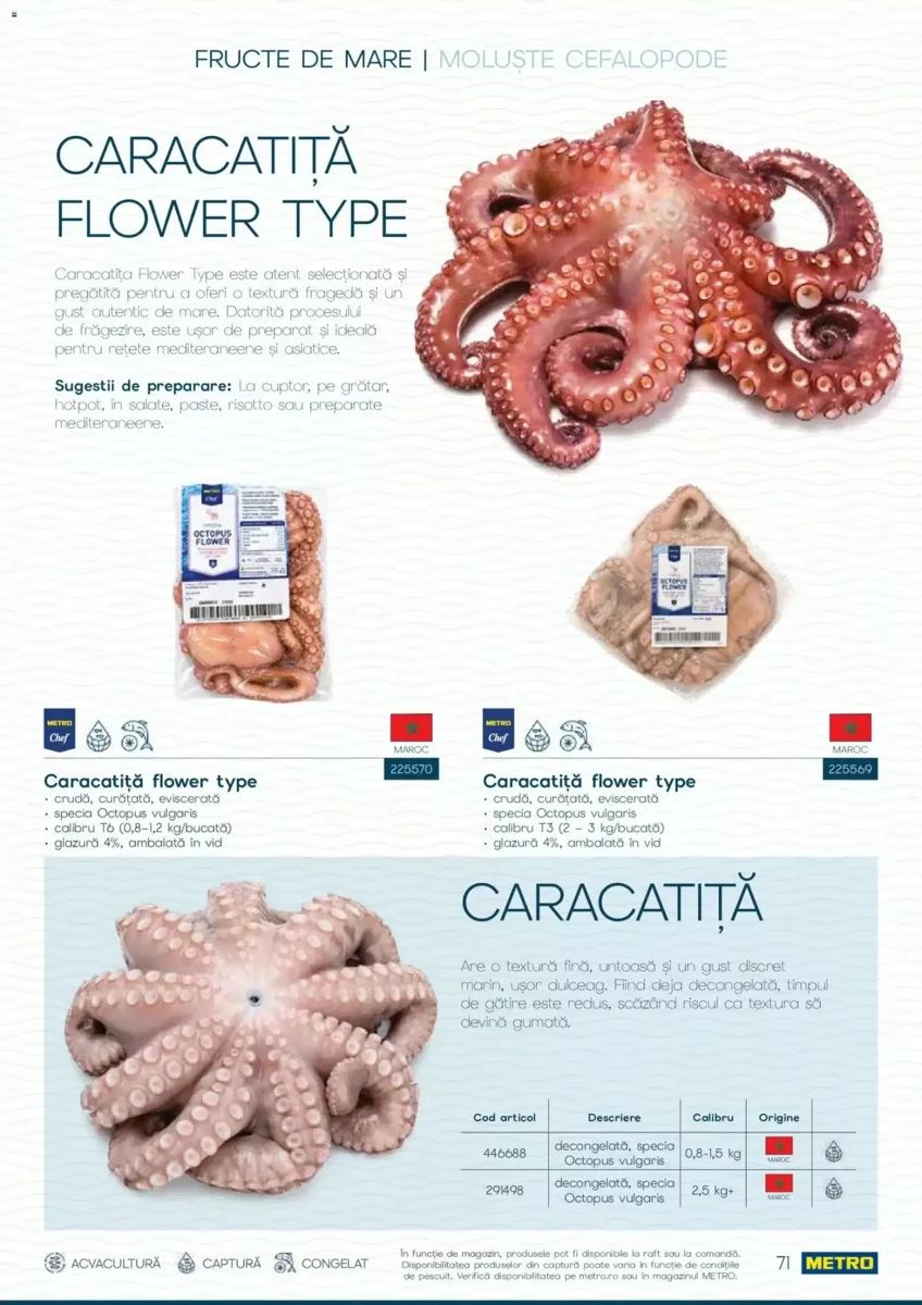 Catalog Metro, pagina 71 din 82