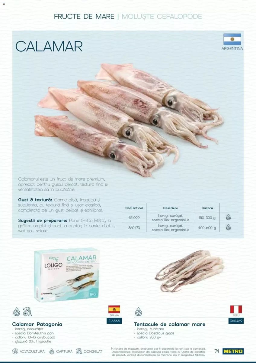 Catalog Metro, pagina 74 din 82