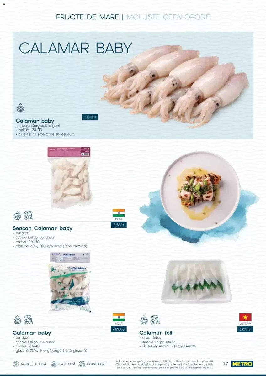 Catalog Metro, pagina 77 din 82